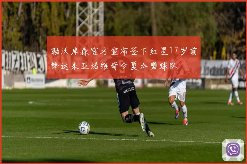 勒沃库森官方宣布签下红星17岁前锋达米亚诺维奇今夏加盟球队