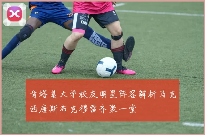 肯塔基大学校友明星阵容解析马克西唐斯布克穆雷齐聚一堂