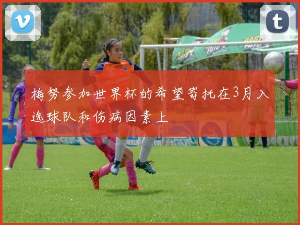 梅努参加世界杯的希望寄托在3月入选球队和伤病因素上